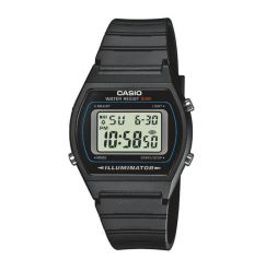 Мужские часы Casio W-202-1AVEF